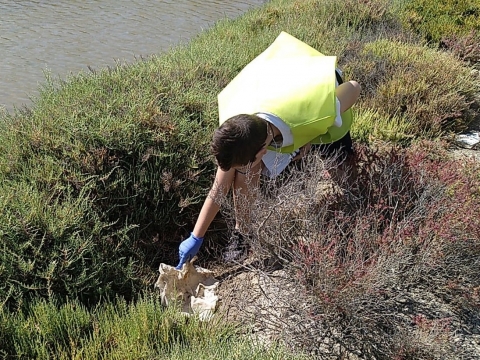 1º de ESO participa en una jornada de limpieza del litoral