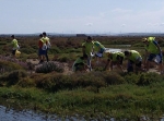 1º de ESO participa en una jornada de limpieza del litoral