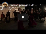 El Aula Flamenca participa en la gala de entrega de Premios Flamenco en el Aula, en Córdoba