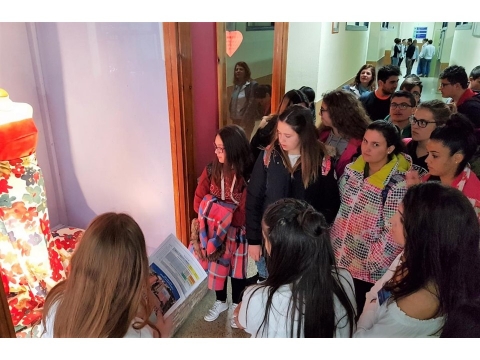 4º de ESO visita Ciclos Formativos de San Fernando