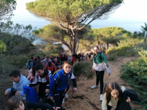 Senderismo en el pinar de las Breñas