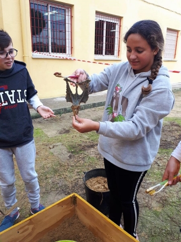 Arqueología en 1º de ESO